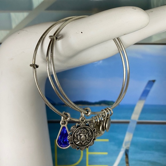 Alex and Ani 4 charm bracelet bundle - Picture 8 of 16